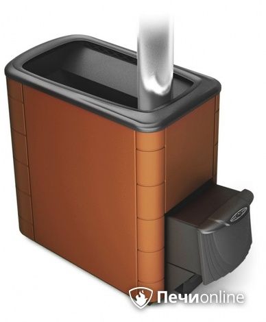 Дровяная печь-каменка TMF Тунгуска XXL 2013 Carbon ДА терракота в Чайковском